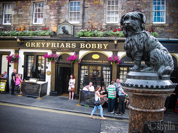Greyfriars Bobby was a Skye Terrier known in spending 14 years guarding the grave of his owner until he died himself.